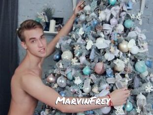 MarvinFrey