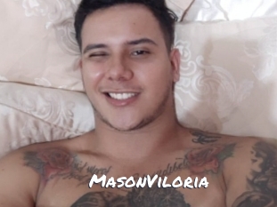 MasonViloria Ochranne Siete