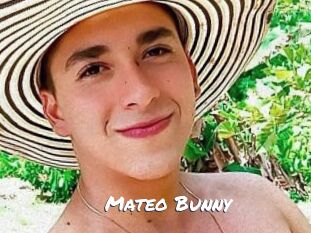 Mateo_Bunny