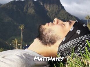 MattHayes