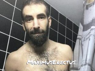 MaximusErectus