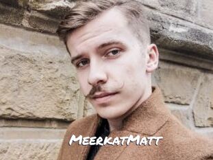 MeerkatMatt