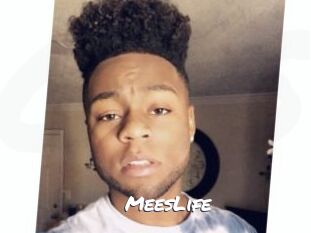 MeesLife