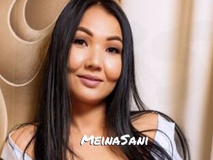 MeinaSani