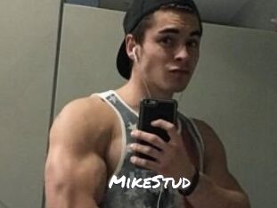 MikeStud