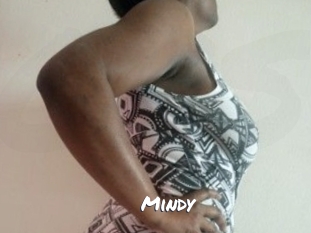 Mindy Ochranne Siete