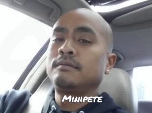 Minipete