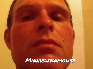 Minniedfknmouse