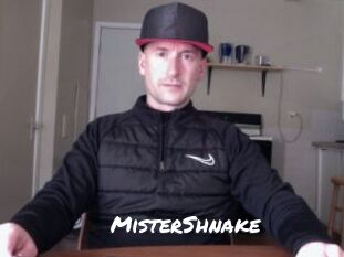 MisterShnake