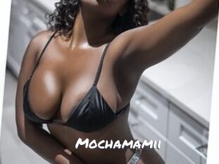 Mochamamii