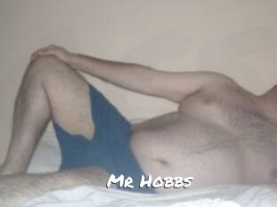 Mr_Hobbs