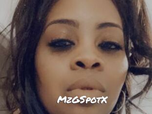 MzGSpotX Ochranne Siete