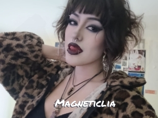 magneticlia Ochranne Siete