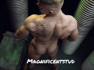 Magnificentstud