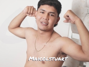 maicolstuart Ochranne Siete