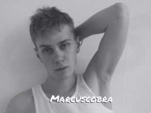 marcuscobra Ochranne Siete