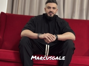 marcusgale Ochranne Siete