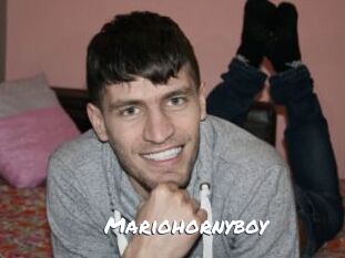 Mariohornyboy