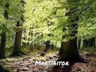 Martiaitor