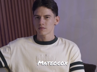 mateocox Ochranne Siete