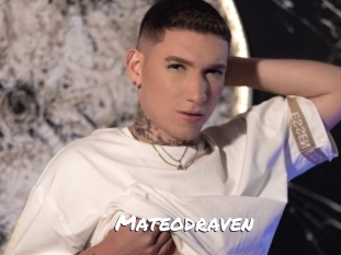mateodraven Ochranne Siete