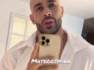 Mateoospiina
