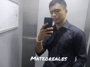mateoreales Ochranne Siete