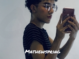 mathewspring Ochranne Siete