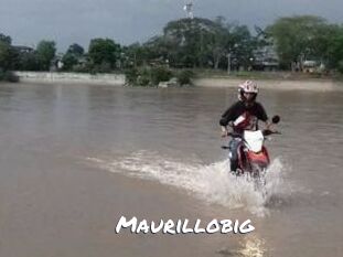 Maurillobig
