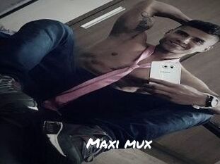 Maxi_mux