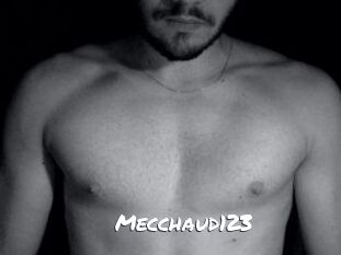 Mecchaud123