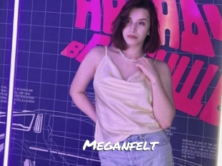 Meganfelt
