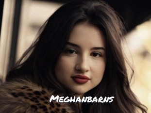 meghanbarns Ochranne Siete