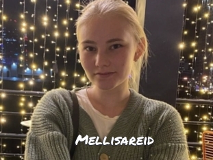 mellisareid Ochranne Siete