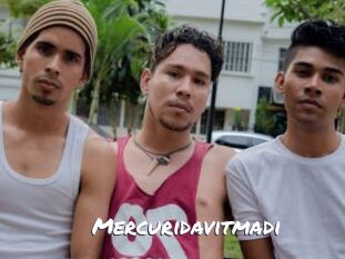 Mercuridavitmadi