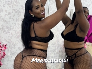meridahadidi Ochranne Siete