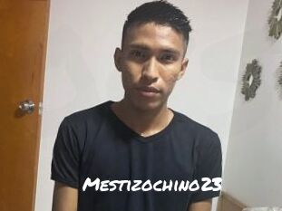 Mestizochino23