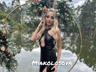 miakolosova Ochranne Siete