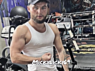 mickylicky69 Ochranne Siete