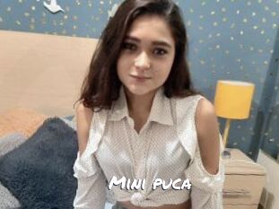 Mini_puca