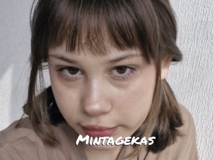 Mintagekas