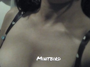 Mintbird