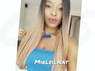 Mirleidycat