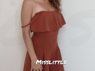 misslittle Ochranne Siete