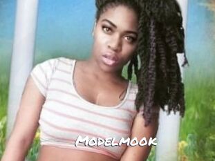 Modelmook