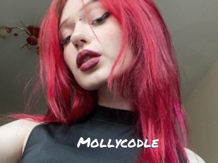 Mollycodle
