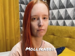 Mollyrabbit