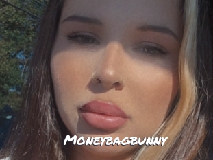 Moneybagbunny