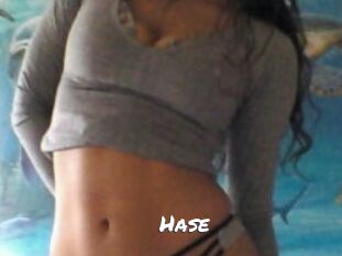 Hase