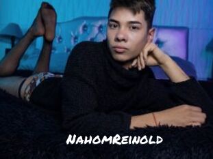 NahomReinold Ochranne Siete